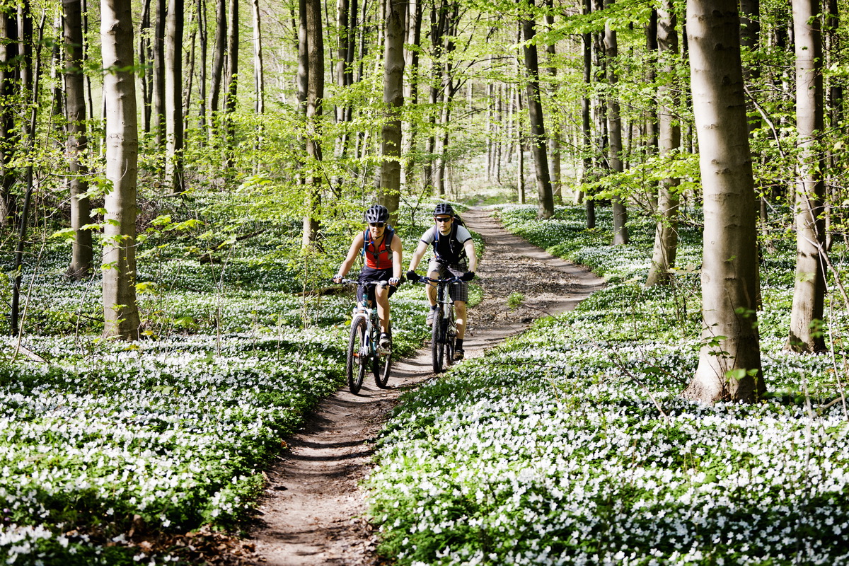 Le choix des moyeux d'un VTT en fonction de la discipline